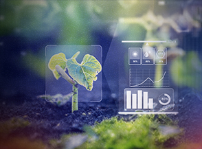 Microclimas conectados