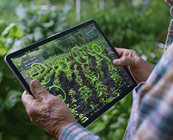 Digitalización del campo